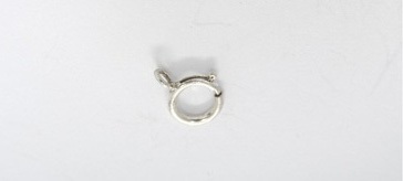 3202606 Ss Clasp 6mm Spring Ring, Closed